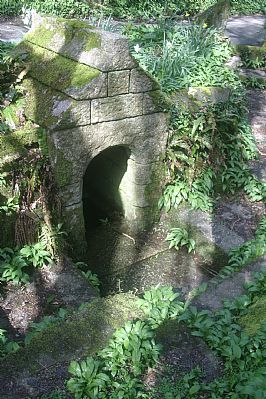 St Keyne's Holy Well St Keyne's Holy Well
