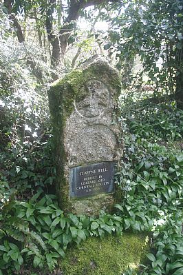 St Keyne's Holy Well St Keyne's Holy Well