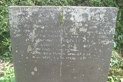 St Keyne's Holy Well St Keyne's Holy Well