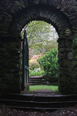 Through the Garden Gate