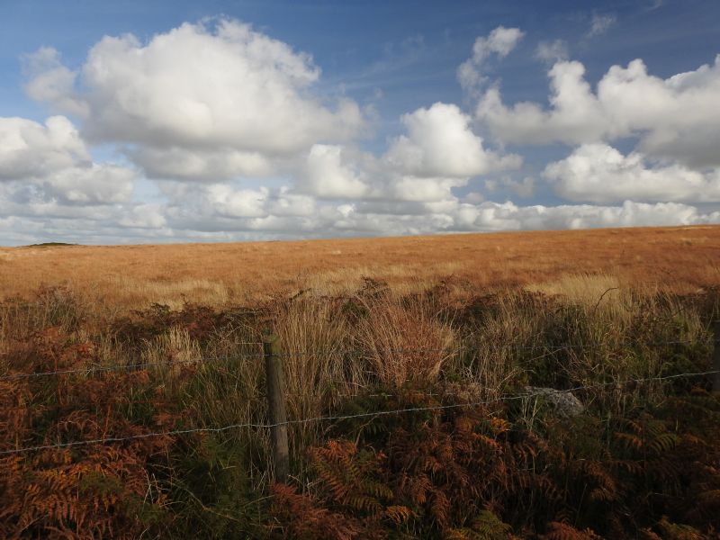 Autumn on the West Penwith Moors