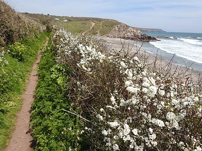 Kennack Sands Beach