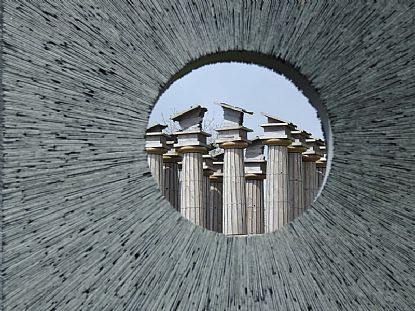 Through the Round Window