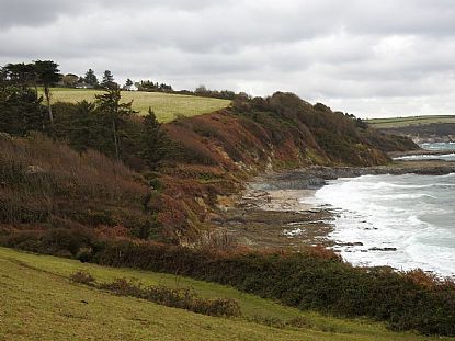 Bream Cove