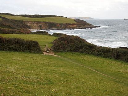 Rosemullion Head