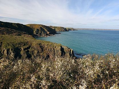 Lizard Peninsula
