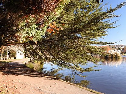 Coronation Lake, Helston
