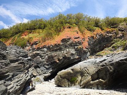 A Summer Day at Prussia Cove