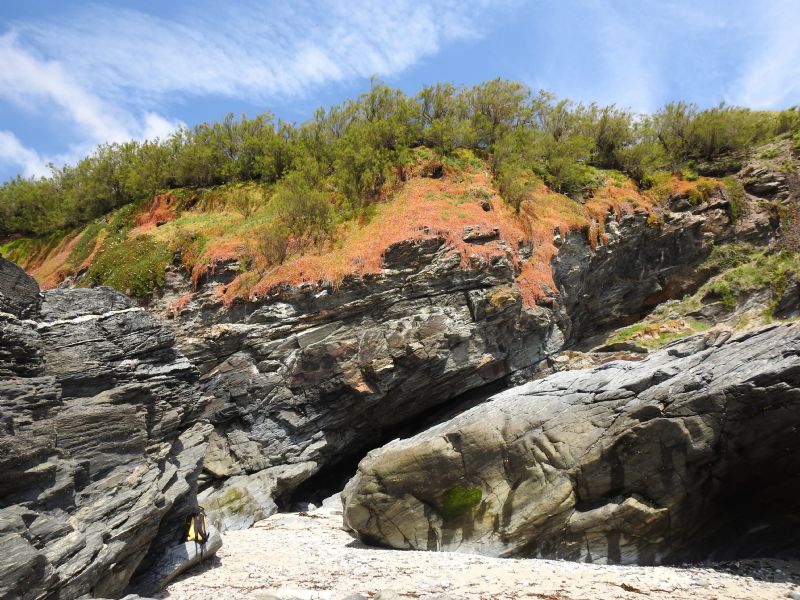 A Summer Day at Prussia Cove