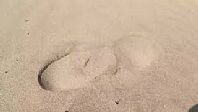 Leave Only Footprints
