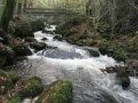 Kennall Vale, Ponsanooth, Cornwall