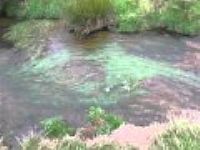 Quiet stream near Godolphin House, Cornwall