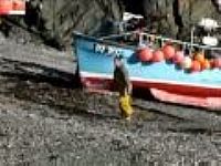 Cadgwith