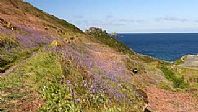 Cot Valley, St Just in Springtime