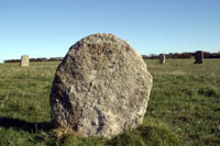 One of the Merry Maidens One of the Merry Maidens