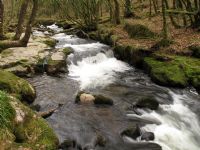 Golitha Falls Golitha Falls