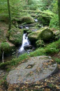 Kennall Vale Kennall Vale