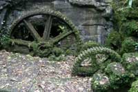 Kennall Vale Kennall Vale