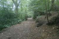 Kennall Vale Kennall Vale