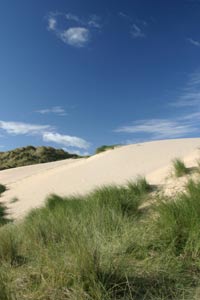 Dunes at Holywell Bay