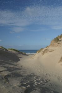 Through the dunes at Holywell Bay