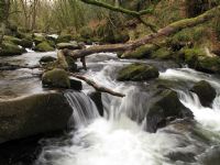 Golitha Falls on the upper reaches of the River Fowey Golitha Falls on the upper reaches of the River Fowey