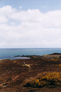 Gugh, Isles of Scilly Gugh, Isles of Scilly