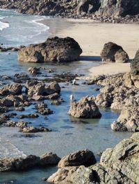Pentreath Beach, near Caerthillian Cove, Lizard Peninsula Pentreath Beach, near Caerthillian Cove, Lizard Peninsula