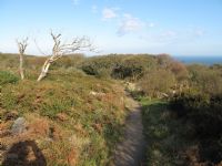 Steeple Woods Nature Reserve