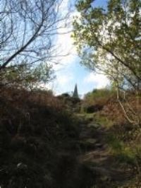 Steeple Woods - Knill's Monument
