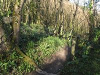 Footpath to Porthbean Beach