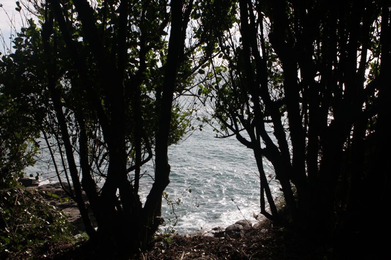 Kemyel Crease Nature Reserve Kemyel Crease Nature Reserve