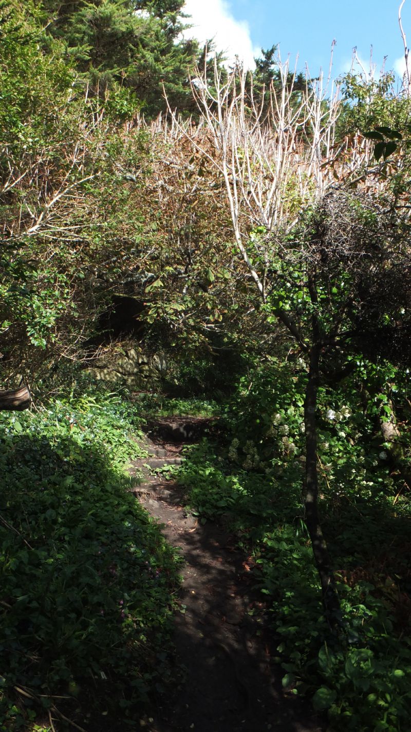 Kemyel Crease Nature Reserve