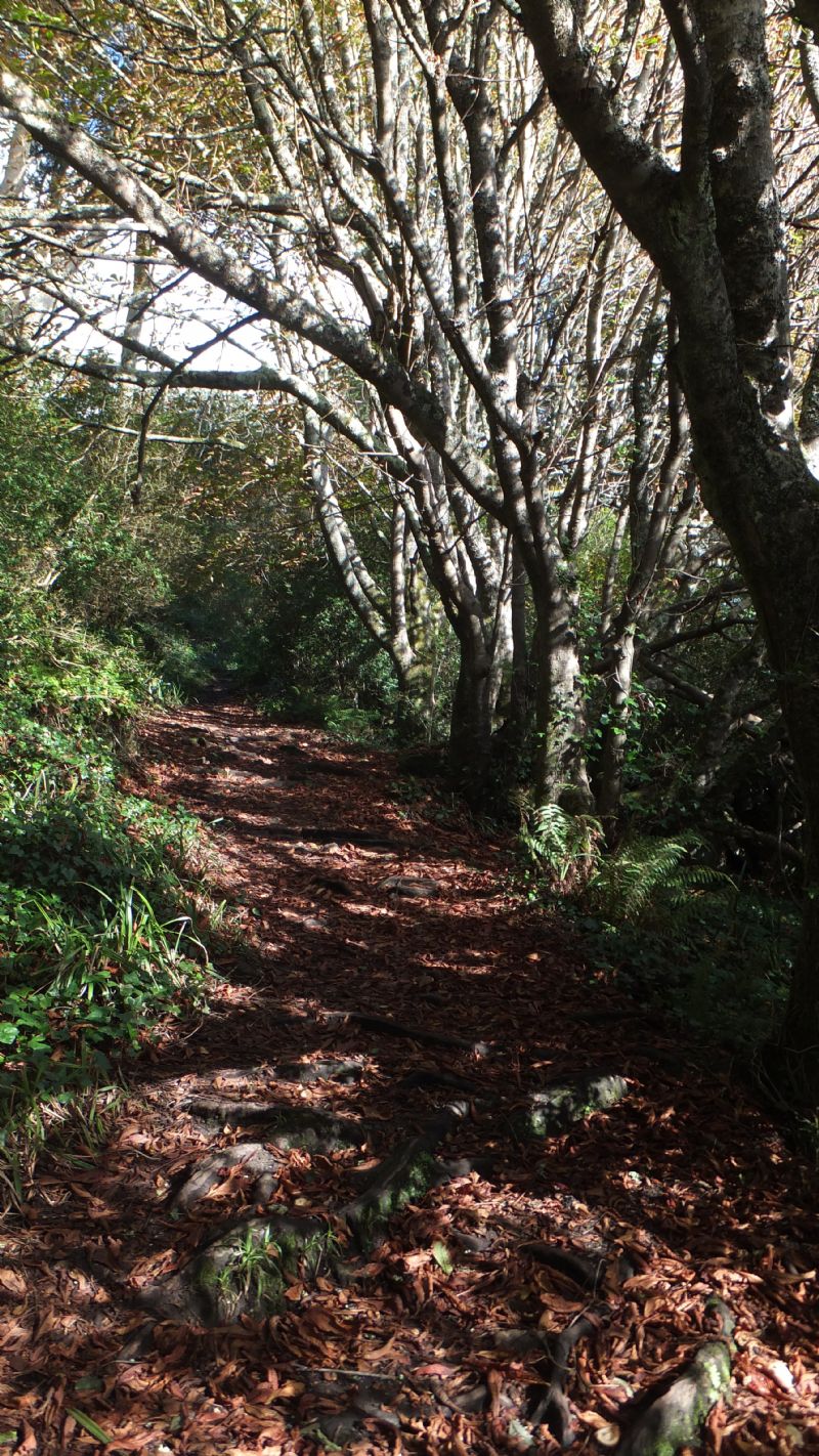 Kemyel Crease Nature Reserve Kemyel Crease Nature Reserve