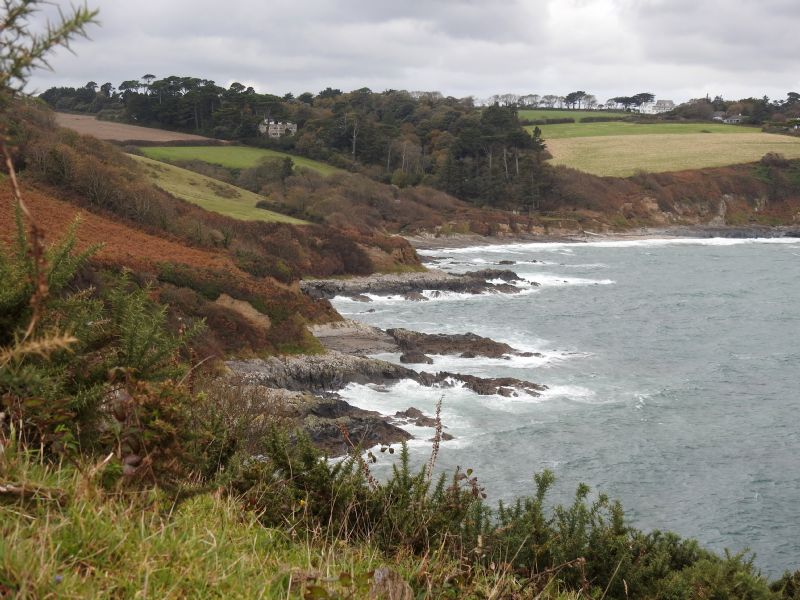 Coastline between Gatamala Cove and Bream Cove Coastline between Gatamala Cove and Bream Cove