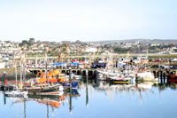 Newlyn Harbour
