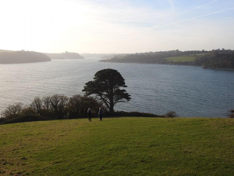 Helford to Maenporth - Walk - Cornwall Coast Path Helford to Maenporth - Walk - Cornwall Coast Path
