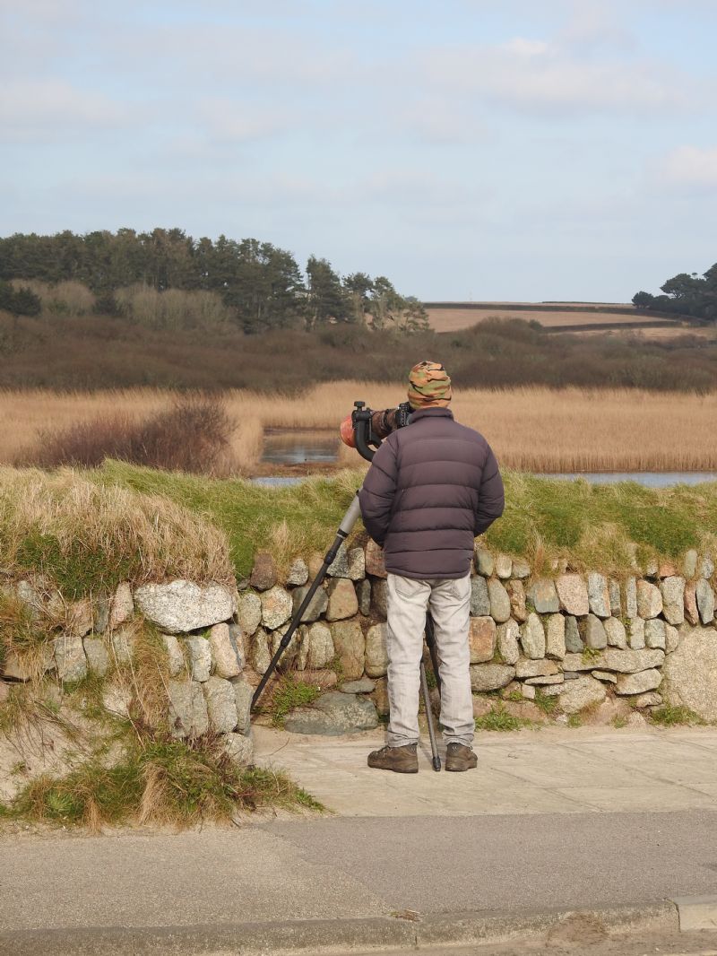 Viewing Bay on Seafront Path
