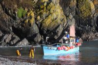 Cadgwith Fishing Boats Cadgwith Fishing Boats