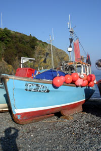 Fising boat at Cadgwith Fising boat at Cadgwith