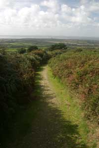 Footpath to Tregonning Hill