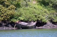 Helford River
