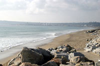 Long Rock Beach near Penzance Long Rock Beach near Penzance
